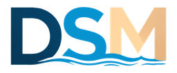 DSM logo